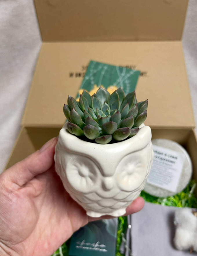 Для crm "Пусть все твои мечты исполняются"