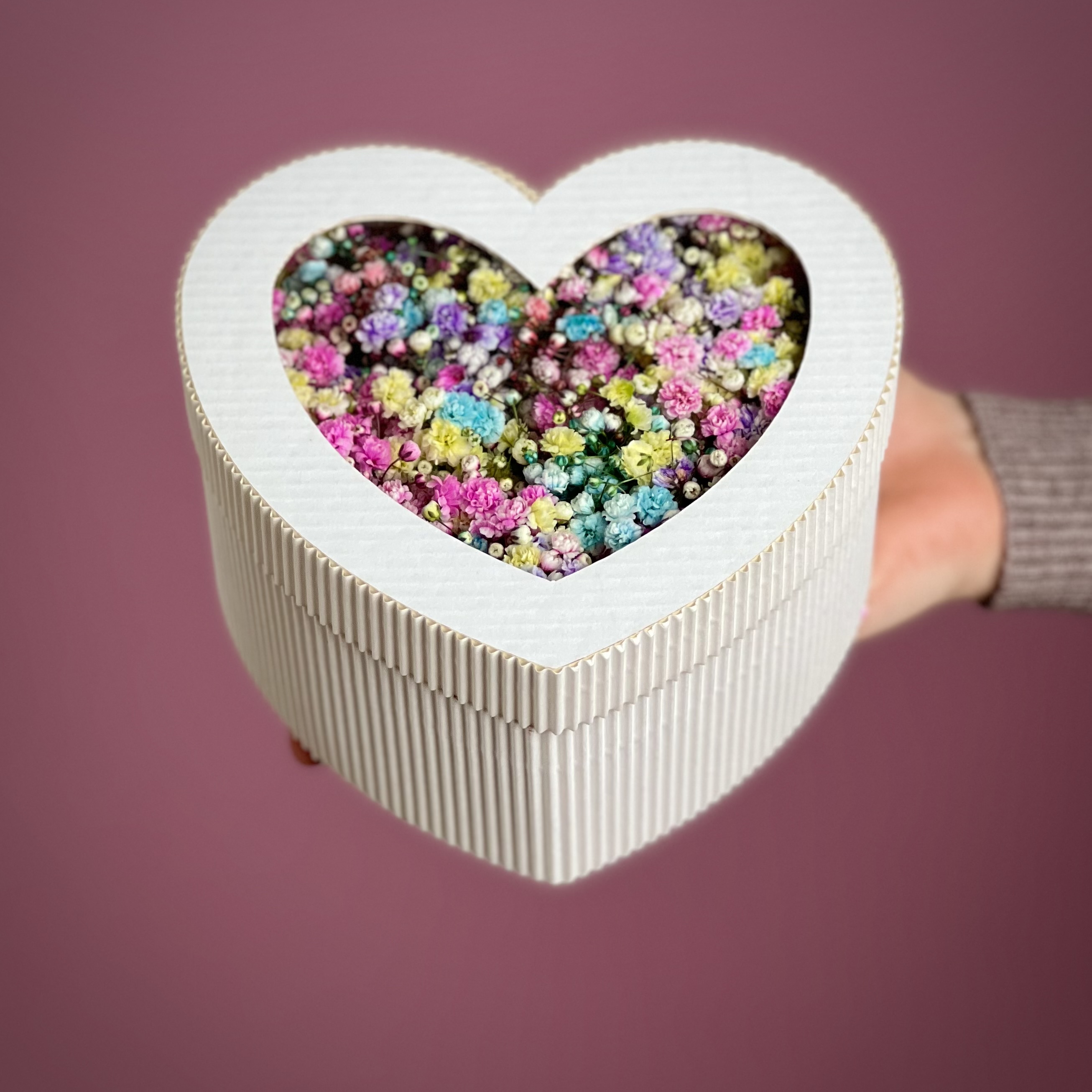 Гипсофила Цветная гипсофила в белом сердце S