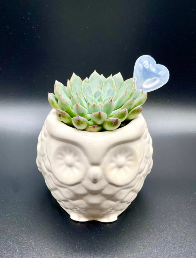 Для crm "Пусть все твои мечты исполняются"