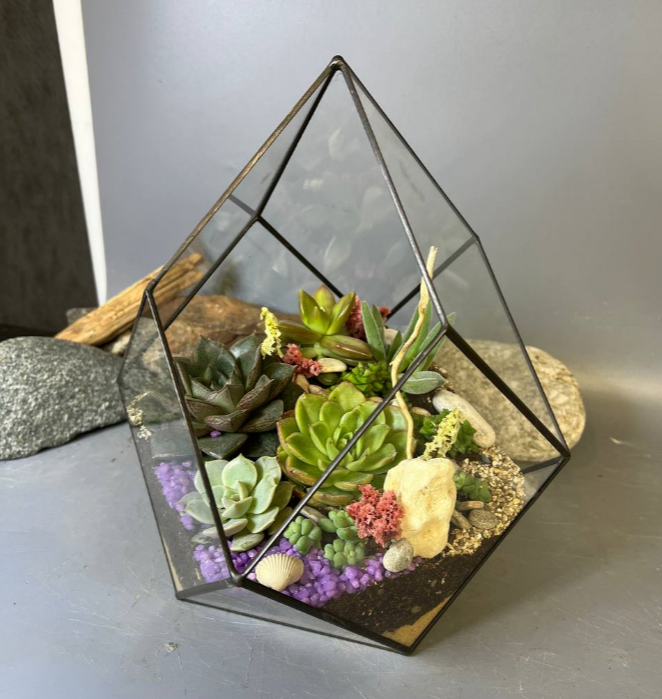 Для crm Флорариум с суккулентами "Забава"