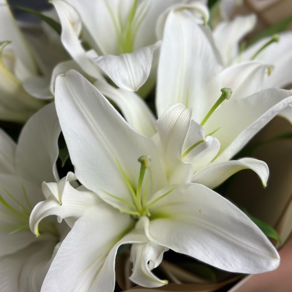 Лилии Букет Белая симфония