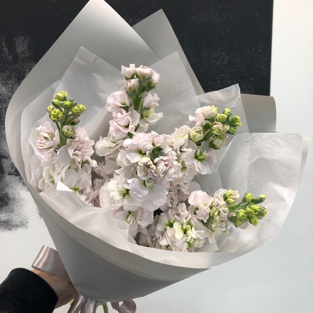 Маттиола Букет Сливочный бриз