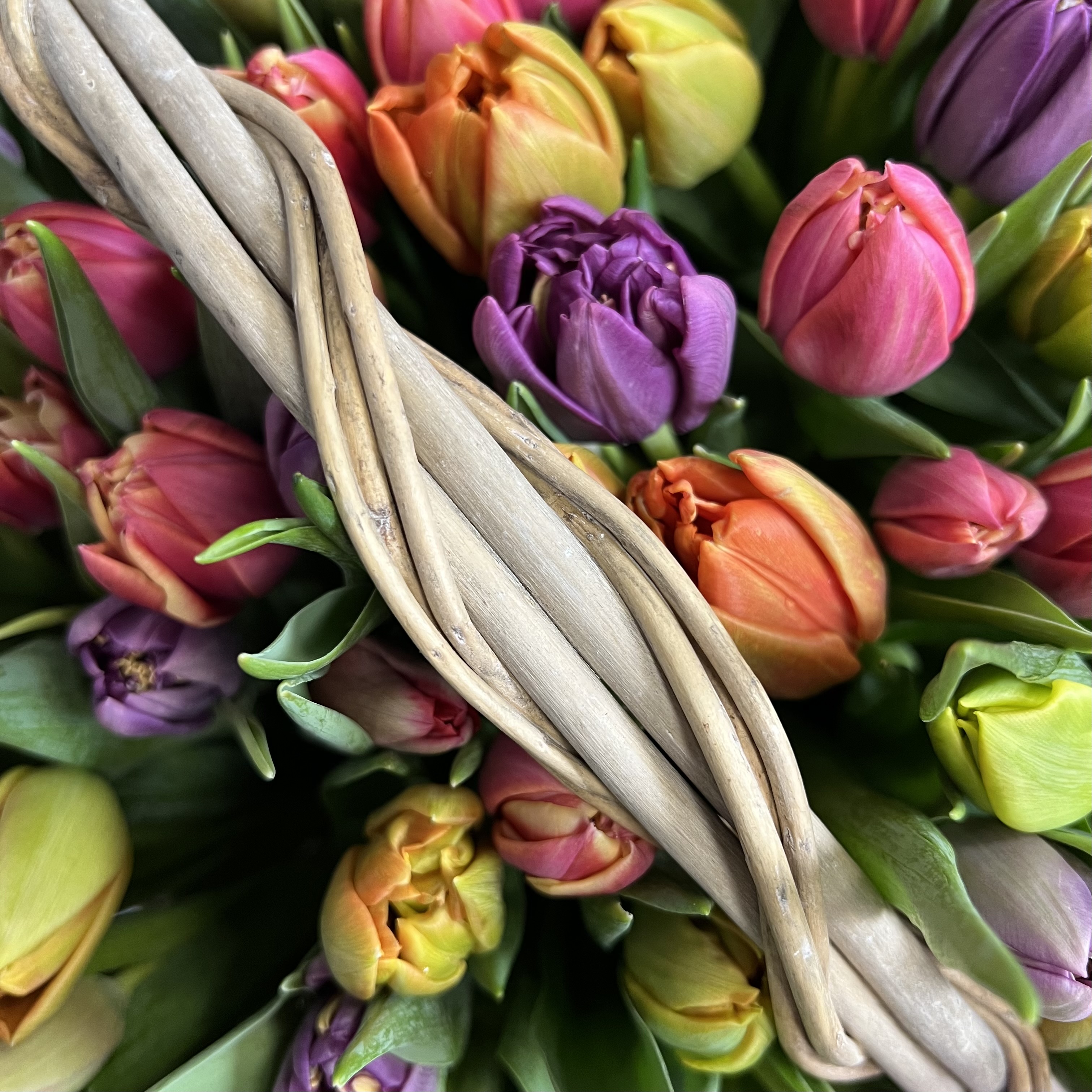 Тюльпаны Корзина из 51 пионовидного тюльпана (микс)