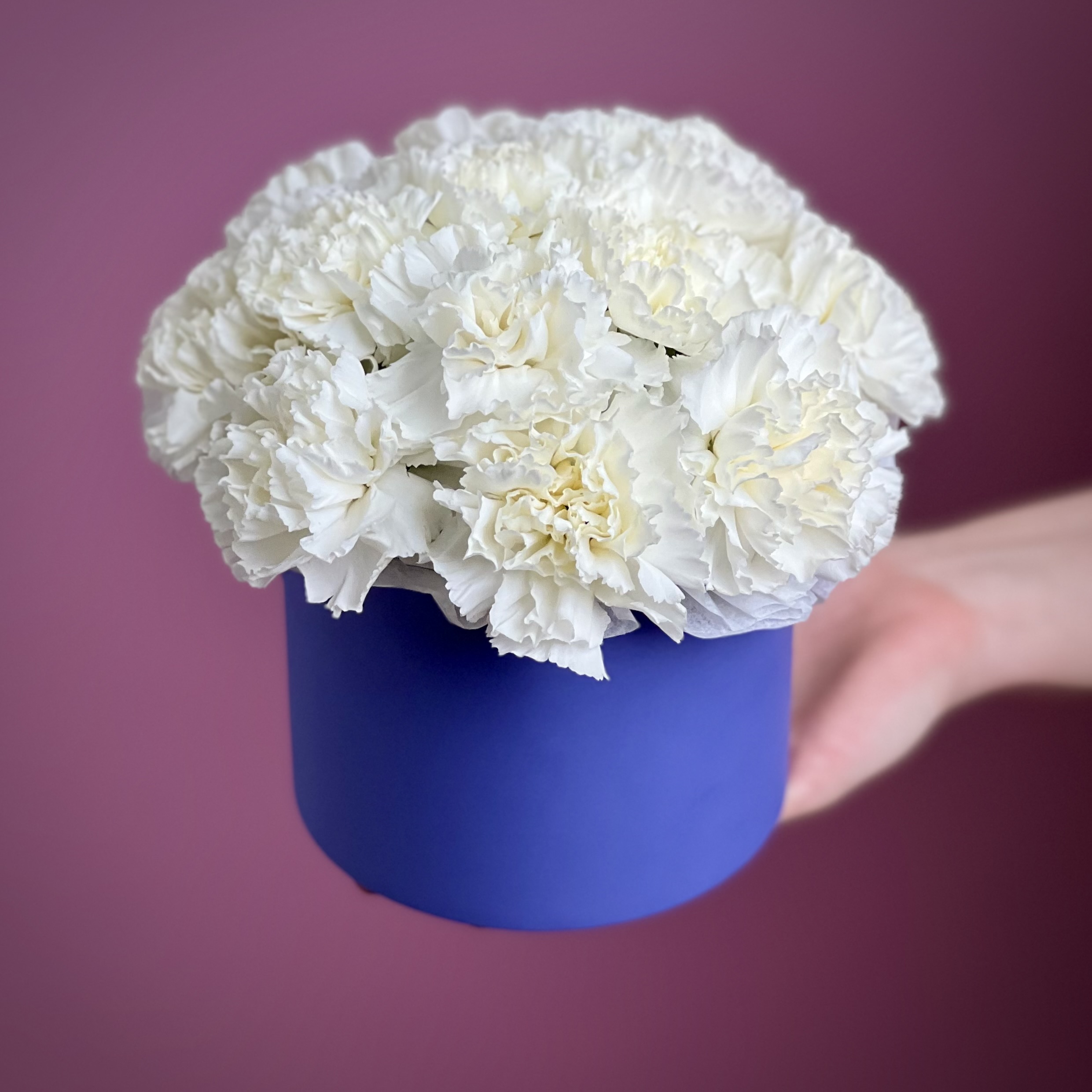 Цветы в коробке Белые гвоздики в коробке XS