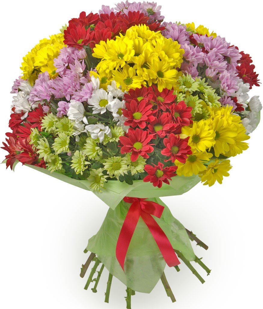 Хризантемы Букет из 25 хризантем