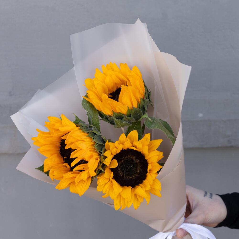 Подсолнухи Букет Солнечные блики