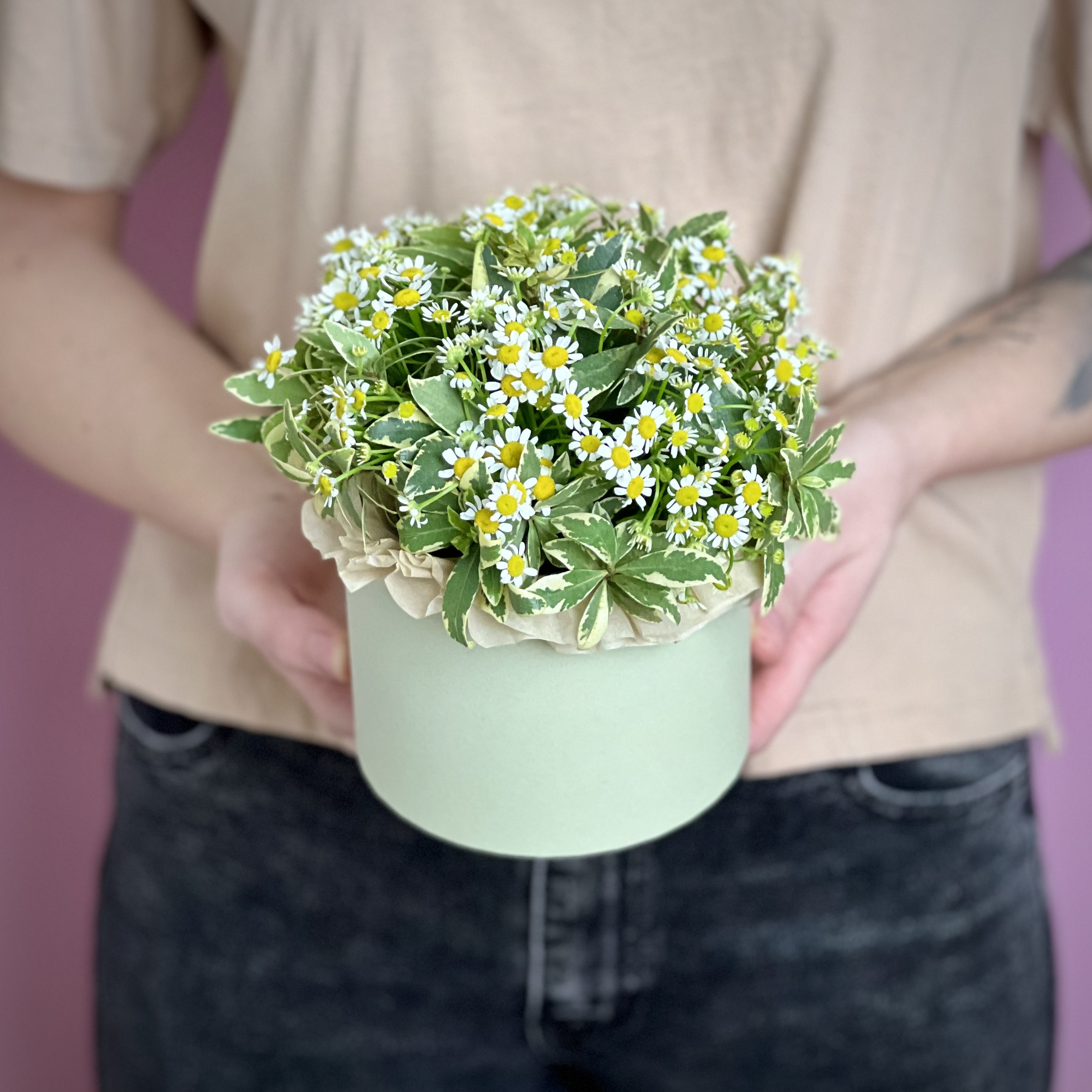 Цветы в коробке Ромашки кустовые в коробке XS