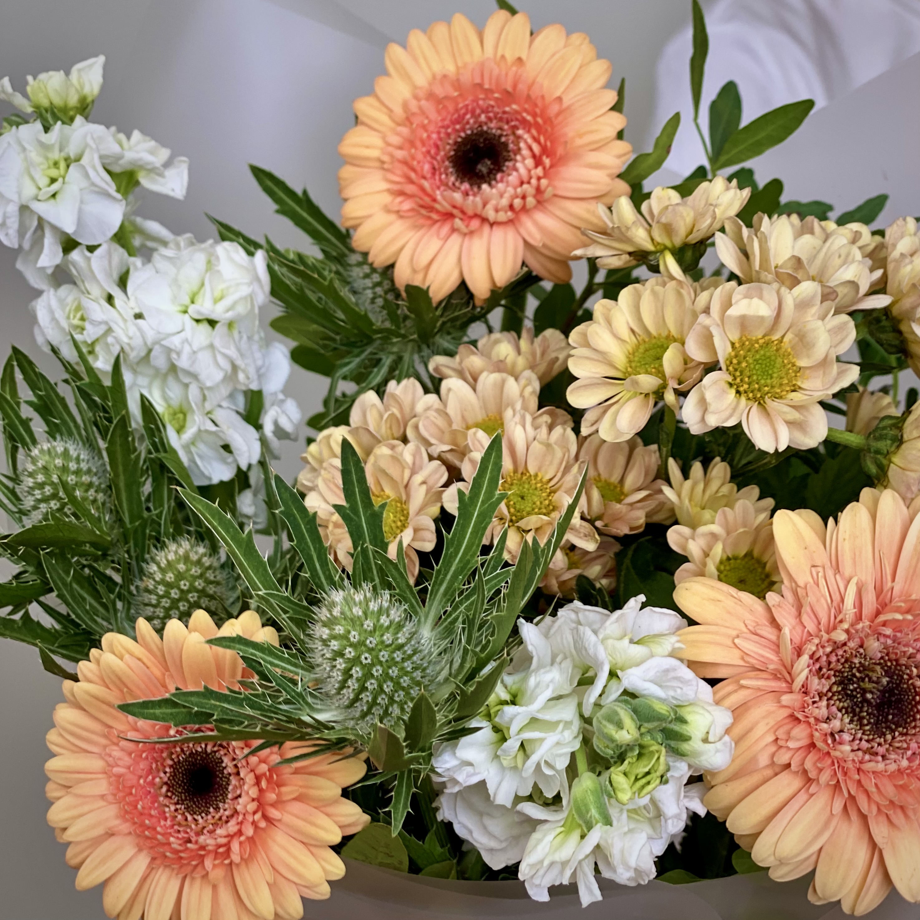 Герберы Букет Яркое послание