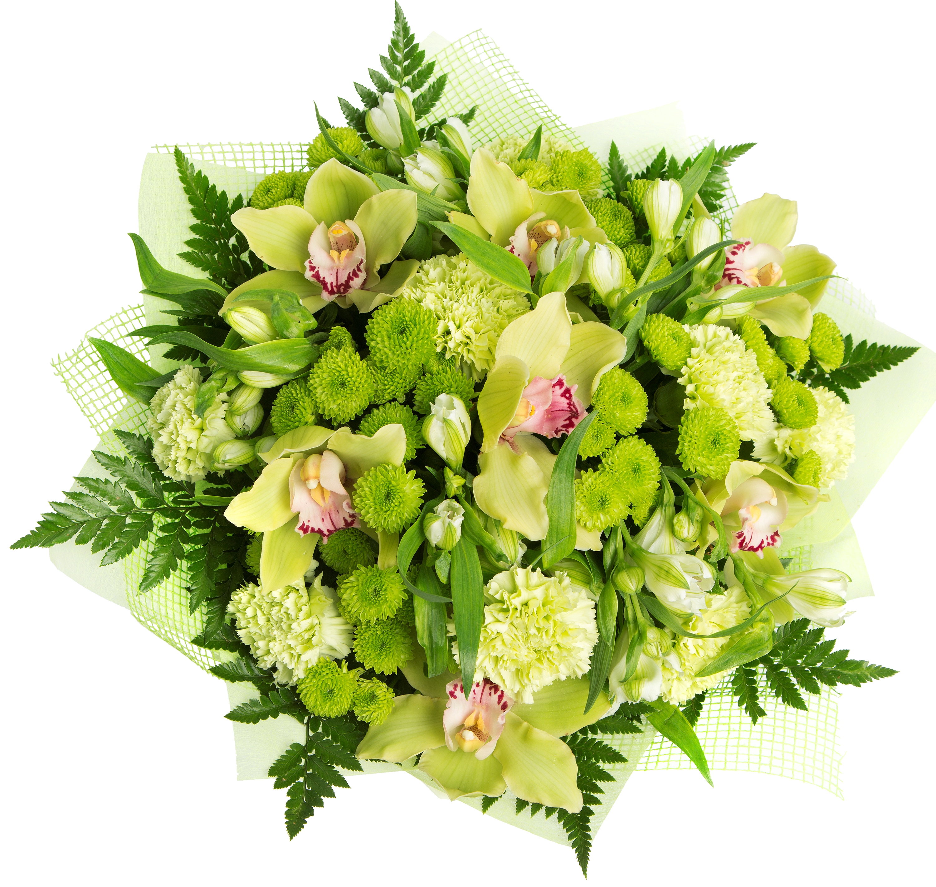 Хризантемы Букет Грин-ти