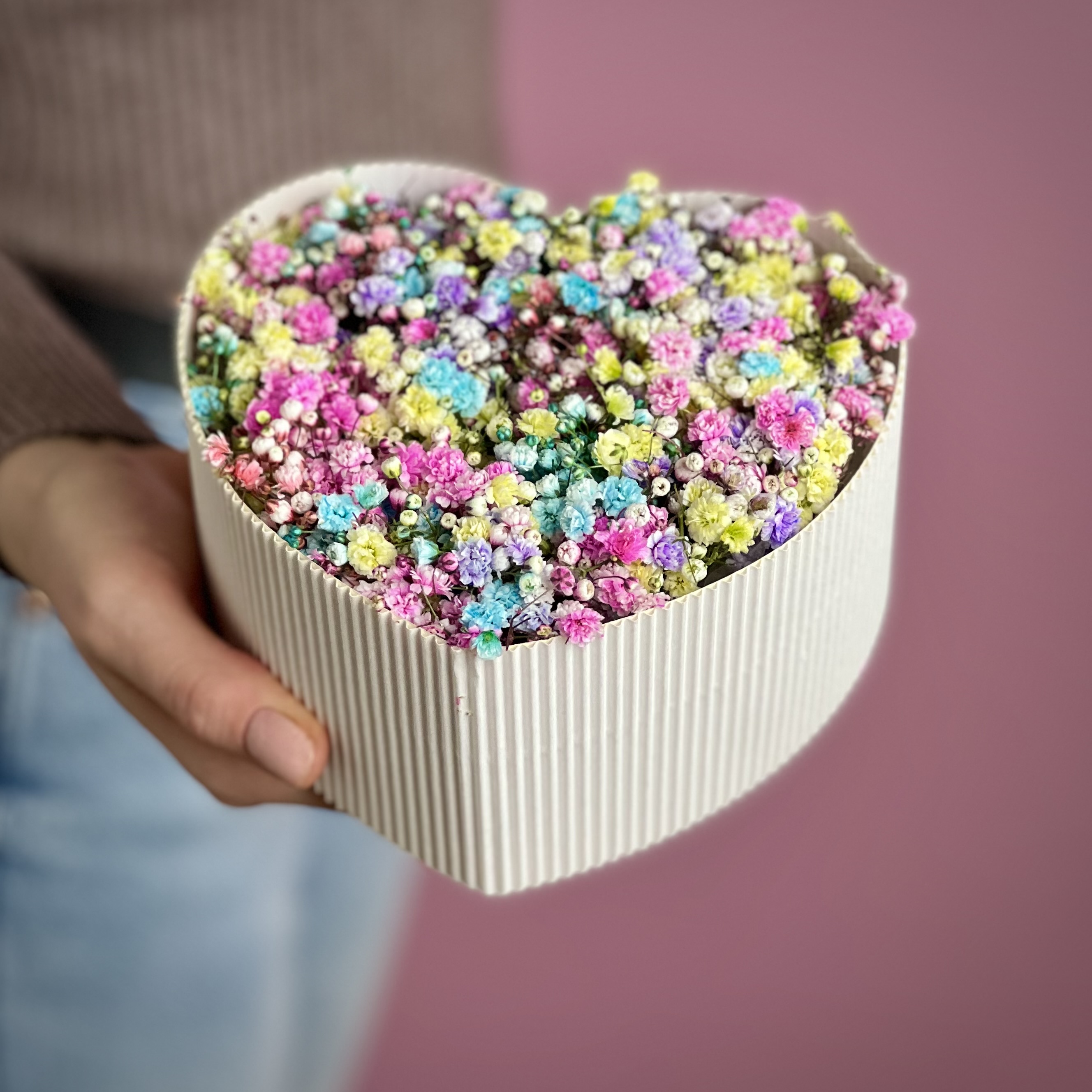 Гипсофила Цветная гипсофила в белом сердце S